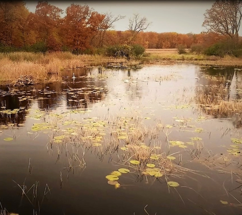 Eyes Up Here Air - Moose Lake, MN. Lake St. Marie state park.  Southern Minnesota