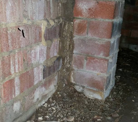 North Sydney Pest Management