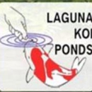 Laguna Koi Ponds