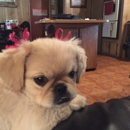 Pet Sense - Pet Stores