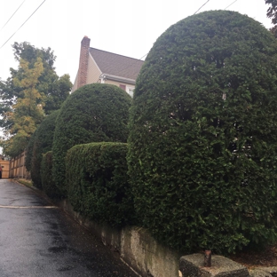 AA Tree & Shrub Service - Lynn, MA