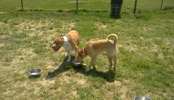 Red Oaks Dog Park - Madison Heights, MI