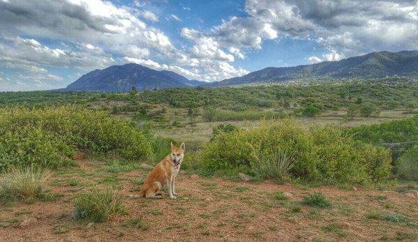 Bear Creek Dog Park - Colorado Springs, CO