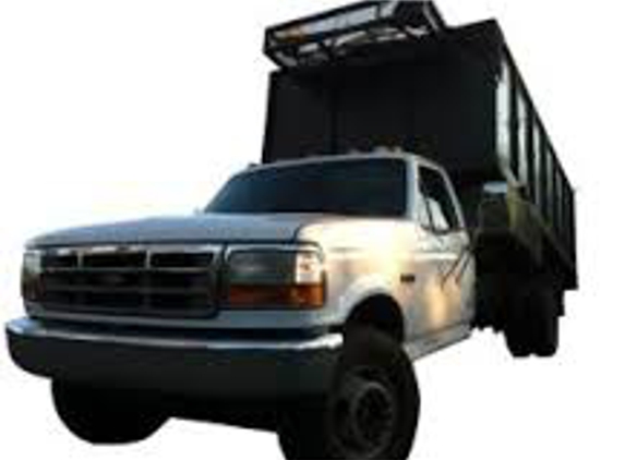 Luis's Clean-Up / Hauling - Temecula, CA