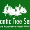 A Atlantic Tree Service gallery