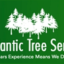 A Atlantic Tree Service - Stump Removal & Grinding