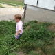 Round Barn Farm Museum