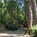 Fred Holmes Tree Service LLC - Logging Companies