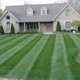 Luigislawncare( get you free cut!! Call now)