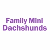 Family Mini Dachshunds gallery