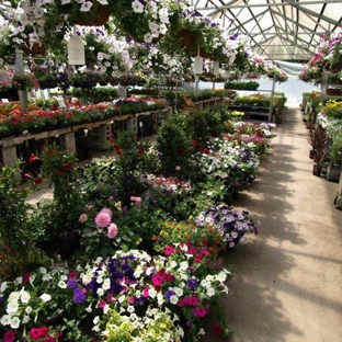 Hewitt's Garden Center - Schenectady, NY