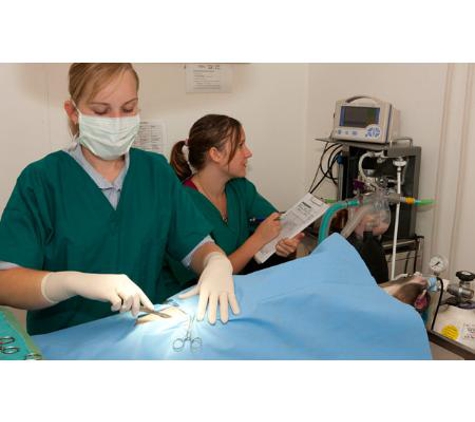 Allora Veterinary Clinic - Allora, QLD
