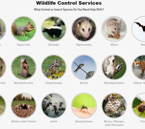 ABC Humane Wildlife Control and Prevention Inc. - Schaumburg, IL