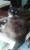 Greencross Vets Robina Village - Veterinary Animal Clinics & Hospitals