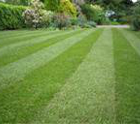 Prestigious  lawn care