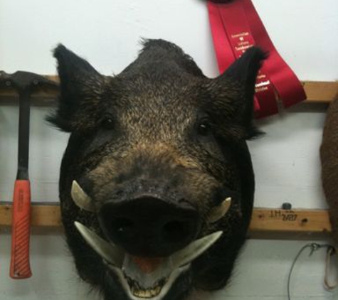 Brownsburg Taxidermy - Brownsburg, IN