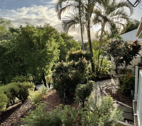 Paul's Plants - Carrara, QLD. BACK GARDEN IN EARLY MORNING