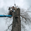 Lakes Tree Service LLC - Stump Removal & Grinding