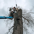 Lakes Tree Service LLC