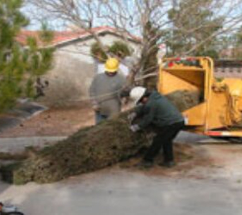 Nevada Tree Service - Las Vegas, NV