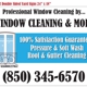 Window Cleaning & More