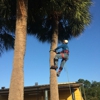 Richie Reach Tree Service Inc gallery