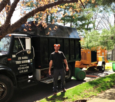 Joe Marra Tree Service - Kinnelon, NJ