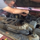 Auto Repair Specialist