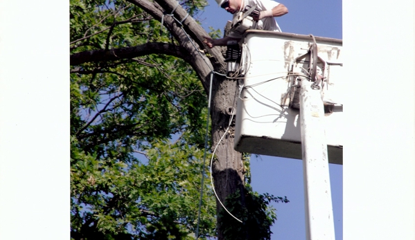 J&M Tree Service - Flint, MI