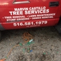 Marvin Castillo Tree and Landscaping Service