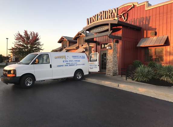 Revive Carpet & Tile Care - Alvaton, KY