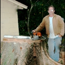 Affordable Tree Service - Arborists
