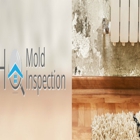 HQ Mold Inspection
