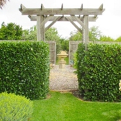 Gallery Image Number 5
