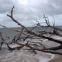 Little Talbot Island State Park