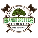 Branch Brothers of Greenville - Arborists