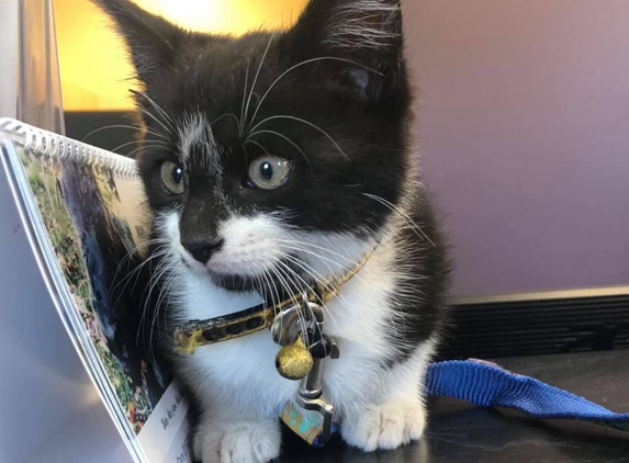Yarram Veterinary Centre - Yarram, VIC