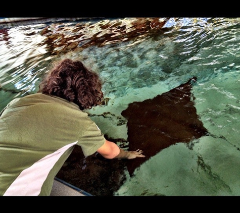 Florida Oceanographic Coastal Center - Stuart, FL