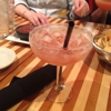 Bejas gallery