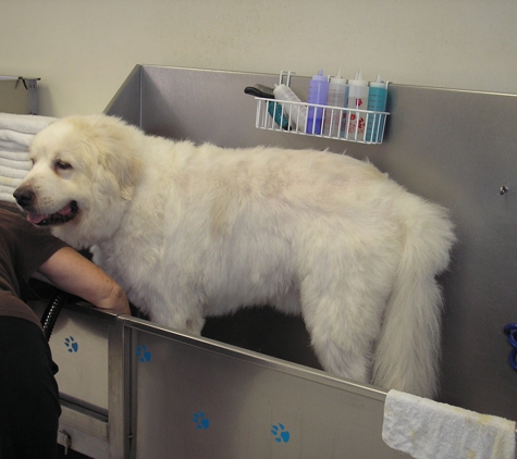 Staunton Dog Wash & Grooming - Staunton, VA