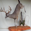 Wildlife Artistry Taxidermy - Taxidermists