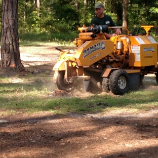 Affordable Stump Grinding - Monticello, FL