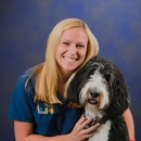 Tampa Veterinary Hospital - Veterinarians