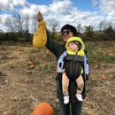 West Portal Pumpkin Patch - Tourist Information & Attractions