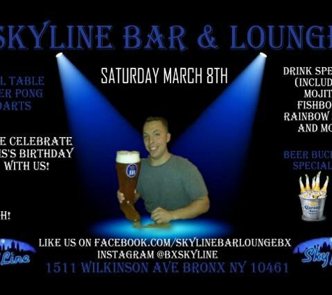 Skyline Bar - Bronx, NY