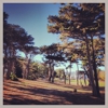 Monterey Pines Golf Course gallery