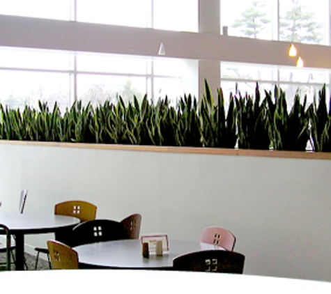 Plantscape Designs, Inc. - stoneham, MA
