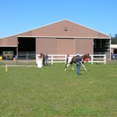 Trailside Ranch - Horse Boarding