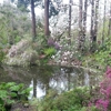 Sonoma Horticultural Nursery gallery