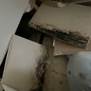 FDP Mold Remediation of Arlington - Mold Remediation